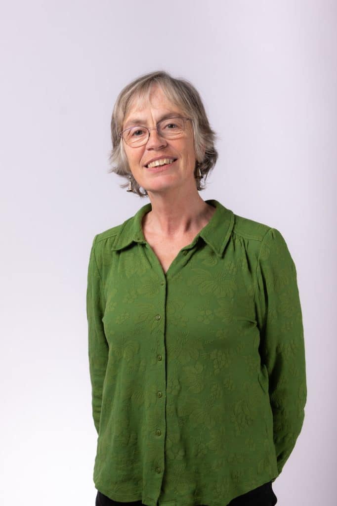 Marjolein Huijskes - Opiniepijlers